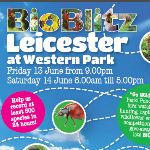 Bio Blitz Leicester 2014